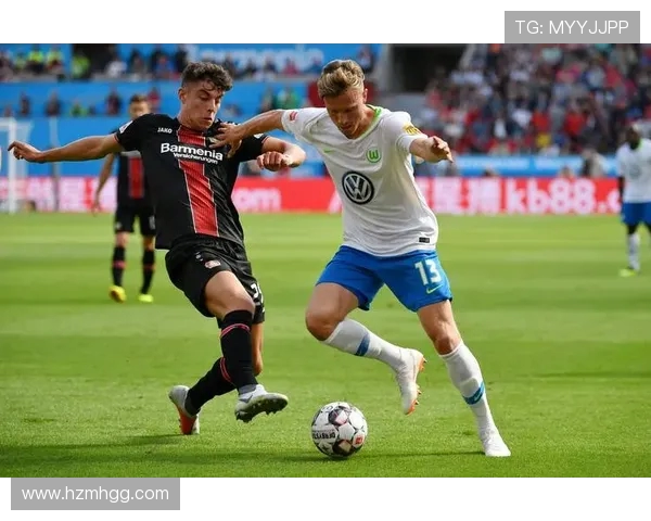 海登主场迎战汉诺威96争夺德乙联赛关键三分之战 海登主场迎战汉诺威96争夺德乙联赛关键三分之战