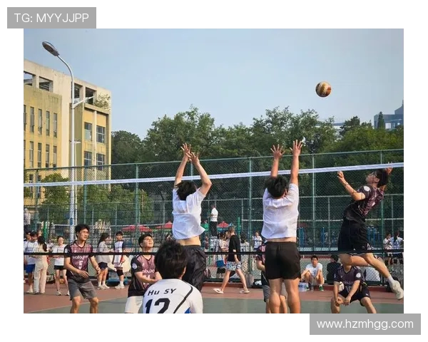 排球心理素质评比结果揭晓上海排球队荣获第六名成就显著